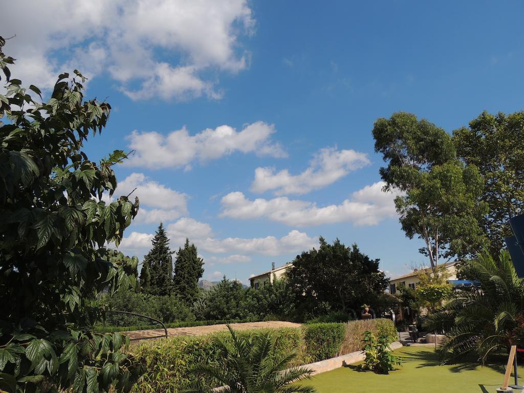 Loftotel Canet Esporles Rom bilde