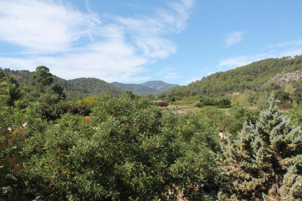 Loftotel Canet Esporles Rom bilde
